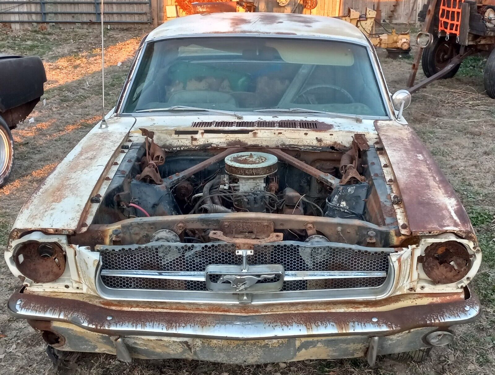 Two Rough 1965 Ford Mustangs Look Ready to Create One Almighty Pony ...