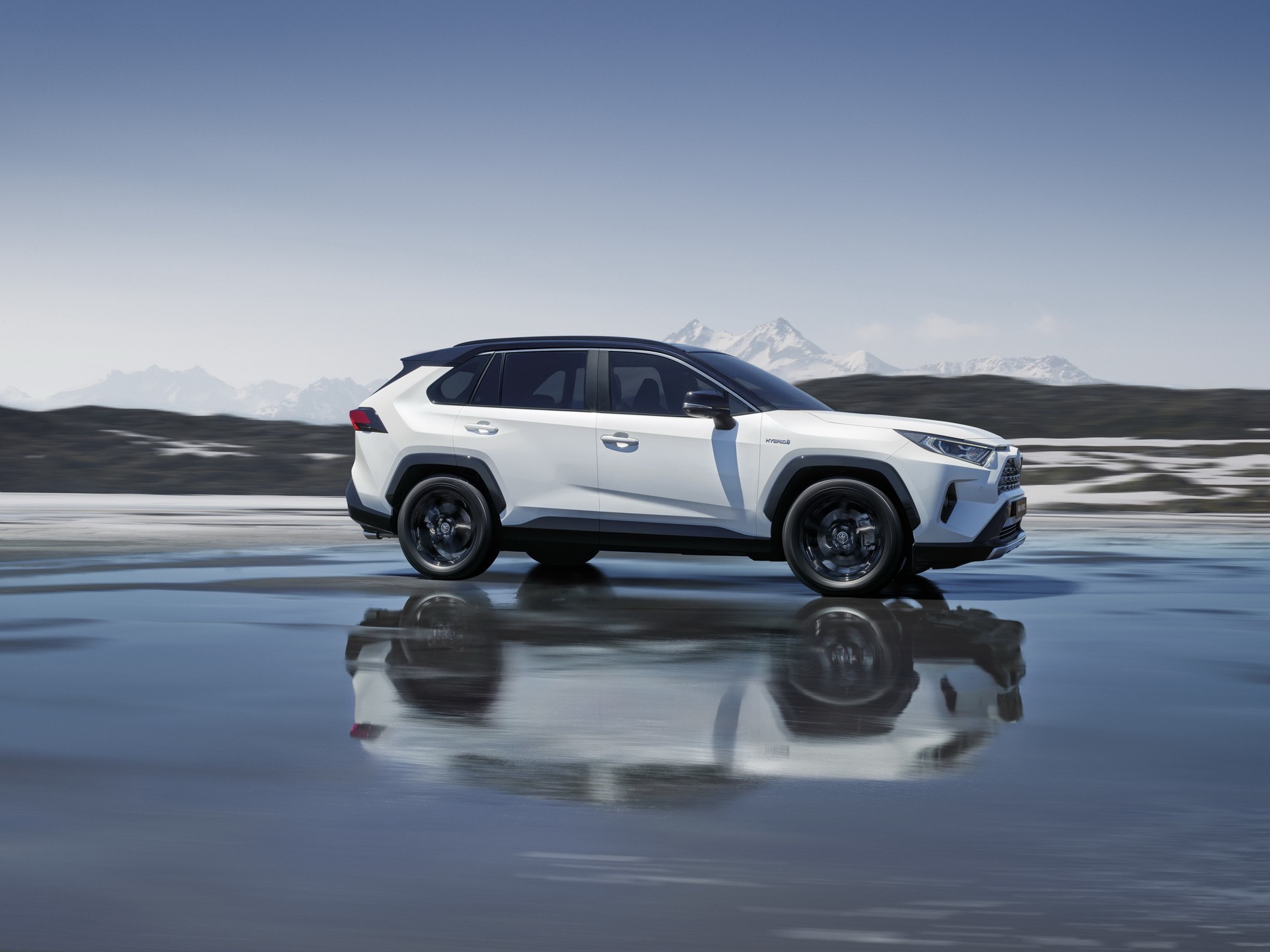 VSC Software Update Helps the Toyota RAV4 Pass the Moose