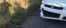 Gator Takes a Big Bite Out of Chevy Patrol Car