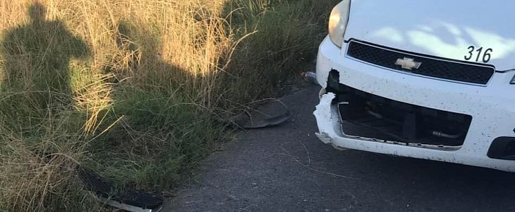 Damage caused to patrol car by angry alligator