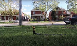 Genius AI-Powered Device Keeps Intruders Off your Lawn