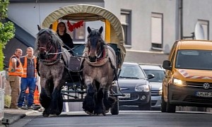 German Farmer Ditches SUV for Horse-Drawn Carriage Amid Soaring Gas Prices