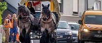 German Farmer Ditches SUV for Horse-Drawn Carriage Amid Soaring Gas Prices