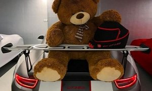German Supercar Collector Keeps a Lucky Giant Teddy Bear in His Cars