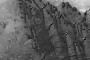 Giant “Footprints” on Mars Look Like They Belong to an Alien Godzilla