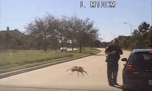 Giant Spider Stalks Cop During Texas Traffic Stop, Sort Of