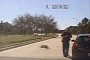 Giant Spider Stalks Cop During Texas Traffic Stop, Sort Of
