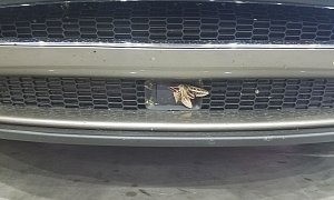 Giant Suicidal Moth Disables Tesla Model S Autopilot