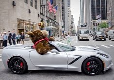 Giant Teddy Bear Riding in a Chevrolet Corvette: It's Not What You Think