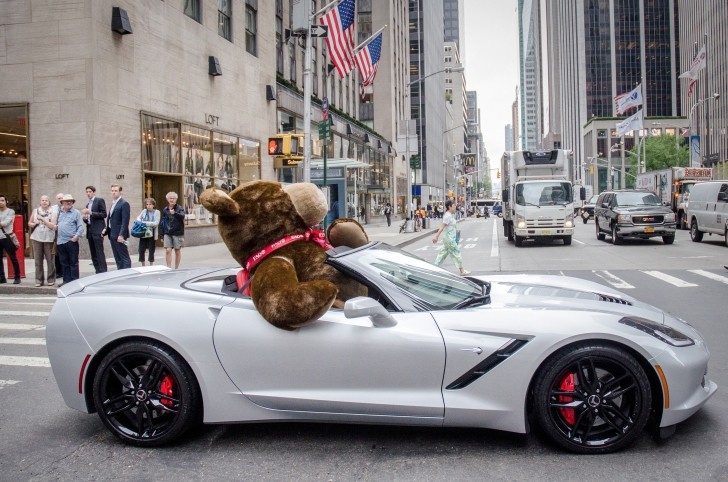 Teddy Bear Riding in a Chevrolet Corvette