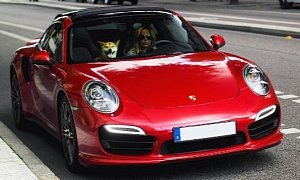 Girl Giving Her Shiba Inu a Ride in Her Porsche 911 Turbo Is Doge Meme Material