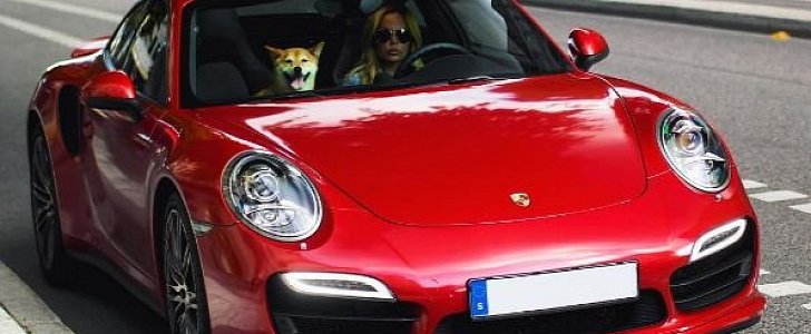 Girl Giving Her Shiba Inu a Ride in Her Porsche 911 Turbo