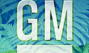 GM Africa Splits