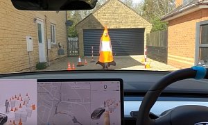 Good News: Tesla Doesn't Kill You When Wearing a Giant Cone Costume