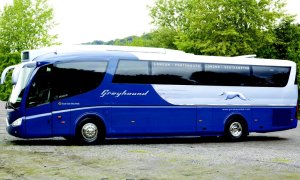 Greyhound Comes to the UK