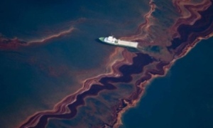 Gulf Spill to Continue Until August