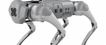 Guy Offers $500 Reward to Find the Stranger Who Allegedly Kicked His Robot Dog
