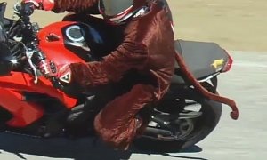 Halloween Costumes Are Fun but Can Be Dangerous When Riding a Motorcycle