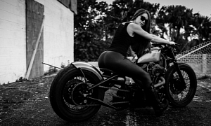Hand-Made Killer Harley Sportster by Matt Waln