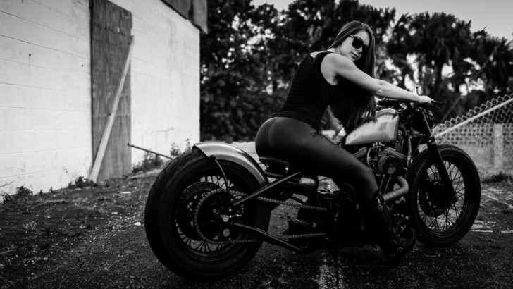 Harley-Davidson Sportster by Matt Waln