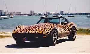 Hand-Painted Animal Print 1971 Corvette C3 Available on eBay, It's a Fashion Icon Wannabe
