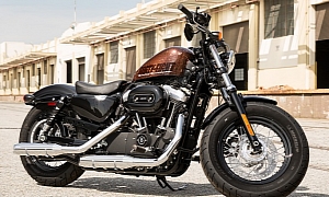 Harley-Davidson 2014 Forty-Eight in All Its Splendor