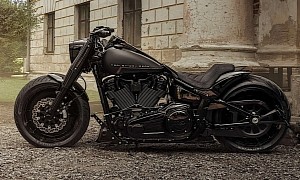 Harley-Davidson Bad Boy Is Darkness Incarnate, A Cheap Way to an Effective Custom Softail