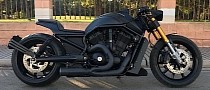 Harley-Davidson Black Lion Is a Wild Cat Out on Human Roads