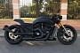 Harley-Davidson Black Lion Is a Wild Cat Out on Human Roads