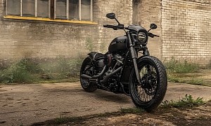 Harley-Davidson Black Mustang Is a Wheeled Wild Horse Snapped in a Last of Us-Like Setting