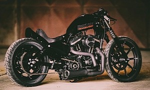 Harley-Davidson Black Power Is a Cheap Way to a Custom Motorcycle