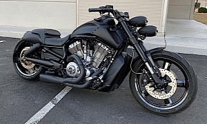 Harley-Davidson Black Velvet Is Anything But Soft, Raised on the Streets of Sin City