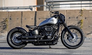 Harley-Davidson Brushed Baby Is How You Double the Value of a Stock Street Bob Really Fast