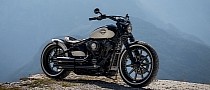 Harley-Davidson Burning Wings Is Double the Street Bob Money, Double the Fun