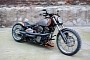 Harley-Davidson Californication Is the Perfect Breakout Build Wearing an Imperfect Name