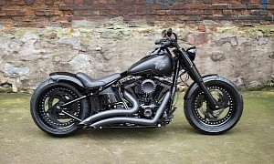 Harley-Davidson Chimera Is Not an Illusion, Parts Come Together Beautifully