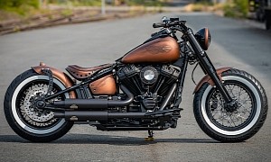 Harley-Davidson Copper Fury Is a Trickster, Cheaper Than It Looks