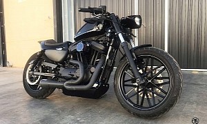 Harley-Davidson Cougar Has the Demeanor of a Big Cat, But of Another One