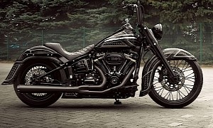 Harley-Davidson Dark Magic Has the Back of a Dragon, Extras Are Not Very Expensive