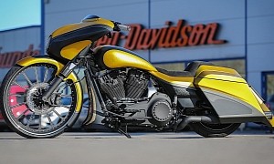 Harley-Davidson Daytona Is a Feline Bagger With an Attitude