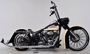 Harley-Davidson Dirtytail Is an Arizona-Style Softail Classic