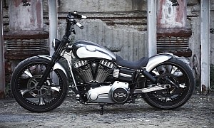 Harley-Davidson Dynamight Is a Metal Predator in Panda Clothes