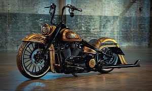 Harley-Davidson El Divino Is One Man’s Meat, Another Man’s Poison