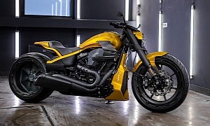 Harley-Davidson FXDR Is a Russian Bumblebee on Two Wheels