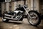 Harley-Davidson FXSTC Gets Custom Bug Bite, Turns Into Non-Venomous Black Mamba