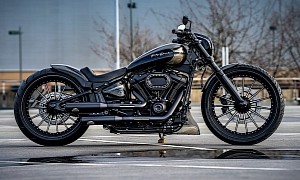 Harley-Davidson Gentle Style Is the First Custom Bike of the Year
