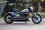 Harley-Davidson Grey Buster Is CVO Insanity Taken One Daring Step Further