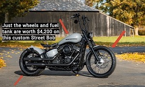 Harley-Davidson Grey Hawk Is a Crash Course on How Fast Custom Builds Can Get Expensive