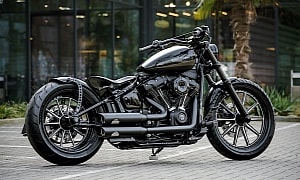 Harley-Davidson Hollywood Joe Wiggles a Modified Tail, Stock Softails Look Too Soft