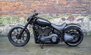 Harley-Davidson Iguana Is What’s Left After a Breakout Shed Its Original Skin